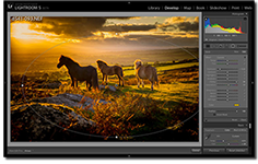 lightroom-5-02