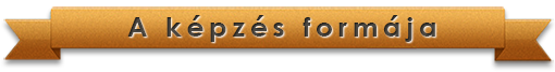 kepzes_formaja_sarga_ws-hez